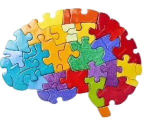 Neuropsicopedagogia